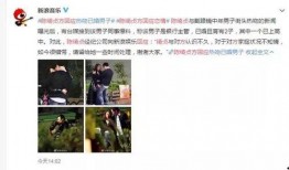 百草被子爆料视频,传统工艺与现代设计的完美融合