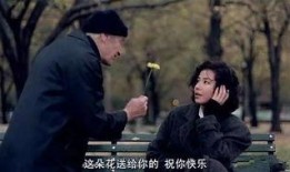 秋电影在线观看,一场视觉与情感的盛宴