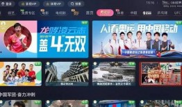 绿军粉丝爆料视频播放下载,视频播放下载幕后秘辛