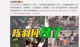 北京大林爆料事件视频播放,视频内容引发社会关注