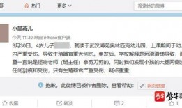 男孩家长爆料视频播放,揭秘校园霸凌背后的真相