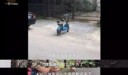 南京碎尸案爆料了吗视频,揭秘网络爆料视频背后的惊人真相