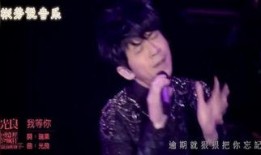 情歌王子爆料视频大全下载,视频大全下载全解析