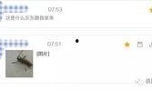 怎么看最新爆料消息内容