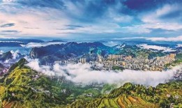 大渝网爆料台黔江区最新