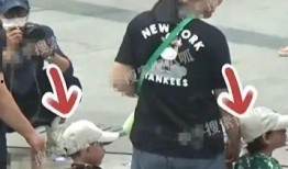 狗仔爆料陈坤视频播放,狗仔爆料引发网友热议