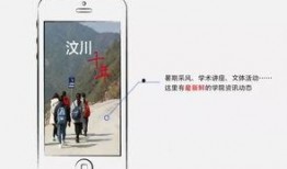 上海新闻爆料公众号,上海新闻爆料公众号背后的故事