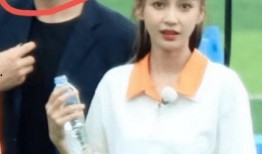 杨颖公开爆料男友视频,真相曝光引热议