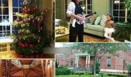 网友爆料王菲豪宅视频,奢华生活引网友热议