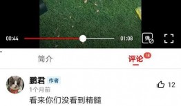 莆田小孩爆料视频大全集,揭秘童言无忌中的社会现象