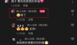 那英爆料王菲窦唯视频在线观看,揭秘娱乐圈不为人知的一面