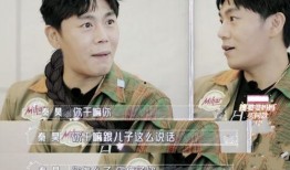 虞美人爆料秦昊视频,真相背后引人深思