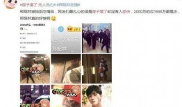 狗仔爆料视频模板大全图片,揭秘娱乐圈幕后风云