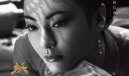 妖猫传在线观看完整版,探寻千年之谜，揭秘幻境奇缘