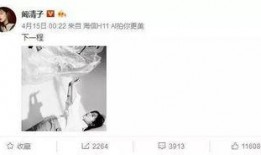 真实爆料阚清子视频,真实生活与公众形象的惊人反差