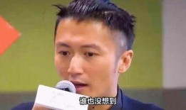 娱乐圈爆料客谢霆锋,娱乐圈爆料客背后的故事