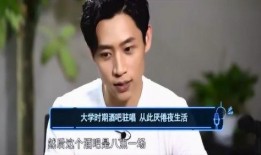 陆虎爆料魏晨视频大全集,视频大全集深度解析