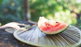 吃瓜网免费吃瓜黑入口,畅享海量瓜子的秘密通道