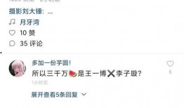 李易峰狗仔爆料视频播放,揭秘明星私生活幕后真相