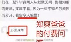 娱乐爆料文字号,揭秘文字号背后的明星幕后故事
