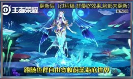 海洋之心最新爆料