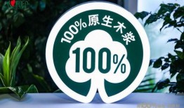 原生木浆爆料视频,视频深度解析其生产过程与环保优势