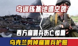 雇佣兵死亡爆料视频大全,揭秘真实战场爆料视频集锦