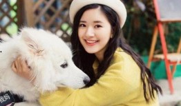 爱豆吃瓜娱乐酱赵露思,爱豆吃瓜娱乐酱，揭秘娱乐圈幕后故事