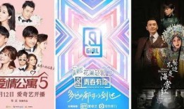 仆人爆料图文怎么做视频,视频制作背后的秘密解析