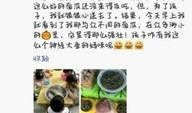 午夜南瓜爆料视频大全,视频大全背后的惊悚故事