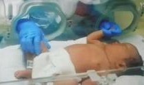 真实爆料新型肺炎视频,真实爆料视频曝光惊人细节