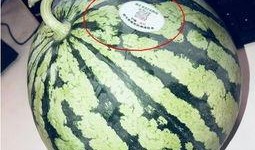 网红吃瓜偷吃,揭秘幕后真相与网络热议