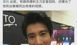 爆料王力宏狗仔视频,狗仔视频揭露惊人内幕