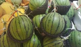 连云港小网红吃瓜