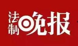 冷门新闻爆料,冷门新闻背后的惊人真相