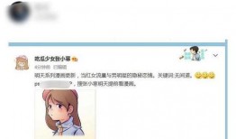 张小寒最新爆料全部作品,作品全解析，揭秘幕后故事与情感纠葛