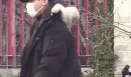 李易峰狗仔爆料视频播放,揭秘明星私生活幕后真相