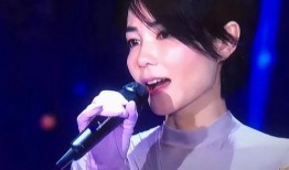 那英爆料王菲窦唯视频在线观看,揭秘娱乐圈不为人知的一面