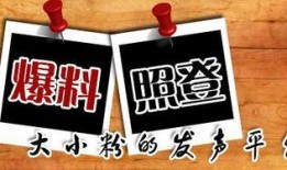 冷门新闻爆料,冷门新闻背后的惊人真相