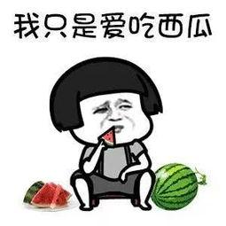 娱乐吃瓜名字叫什么来着,揭秘娱乐圈那些不为人知的秘密